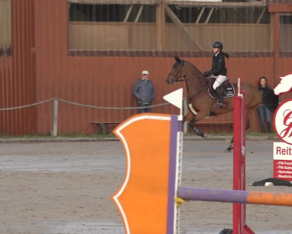 Reitturnier Handorf 2023