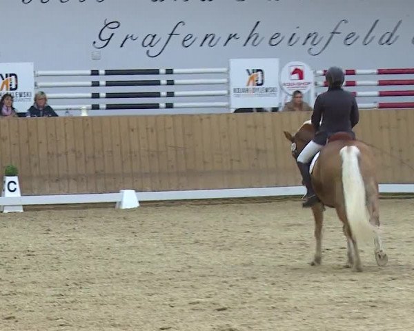 Reitturnier Grafenrheinfeld/Ufr. 2023