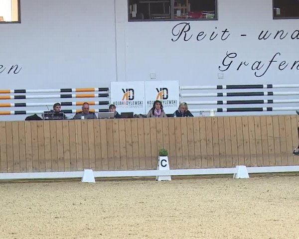 Reitturnier Grafenrheinfeld/Ufr. 2023