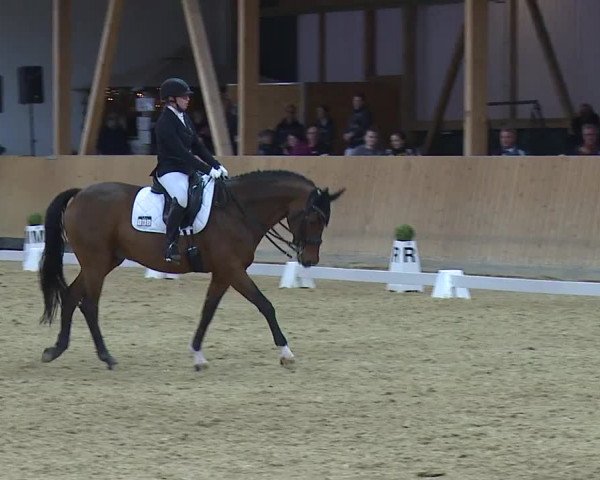 Reitturnier Grafenrheinfeld/Ufr. 2023