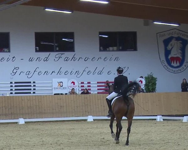 Reitturnier Grafenrheinfeld/Ufr. 2023