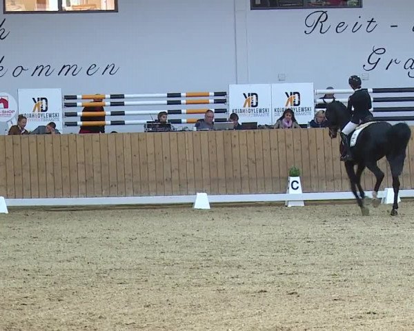 Reitturnier Grafenrheinfeld/Ufr. 2023