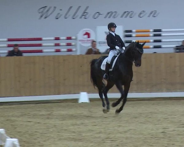 Reitturnier Grafenrheinfeld/Ufr. 2023