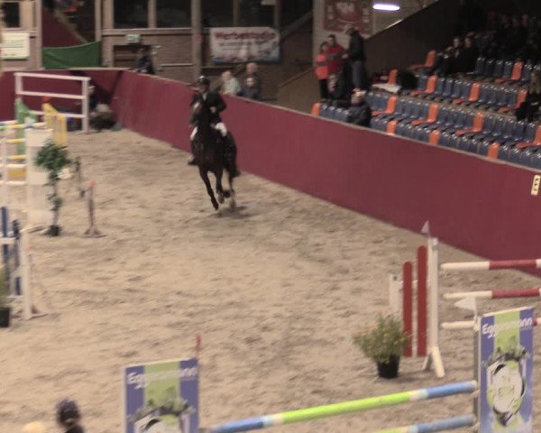 Reitturnier Krumke 2023