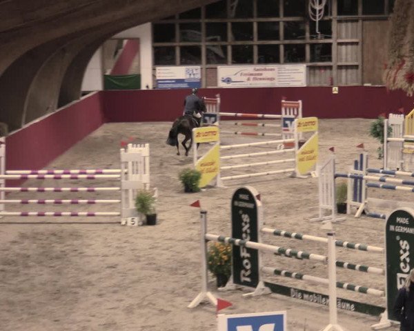 Reitturnier Krumke 2023