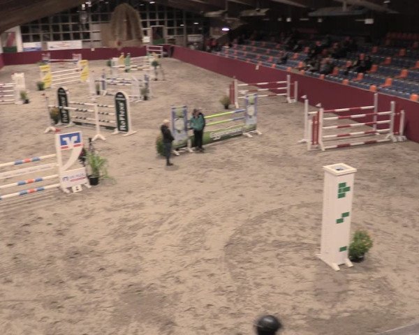 Reitturnier Krumke 2023
