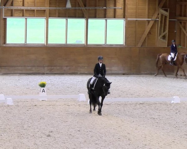 Reitturnier Rüti 2023