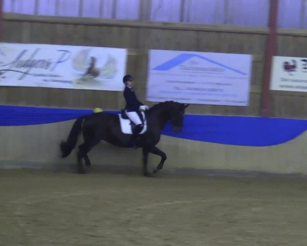 Reitturnier Villmar 2023