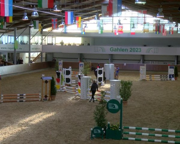 Reitturnier Gahlen 2023