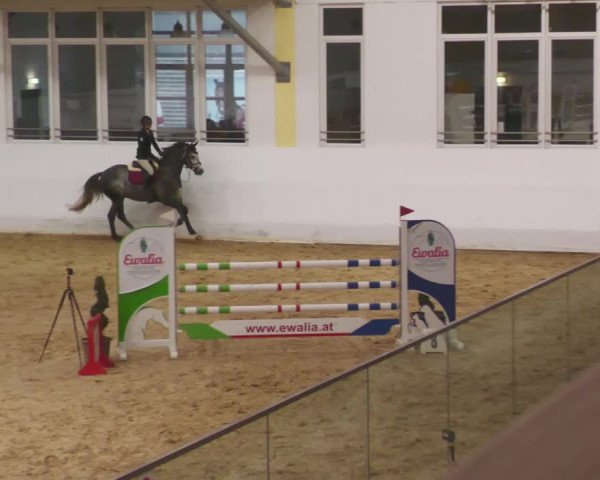 Springturnier Stadl Paura 2023