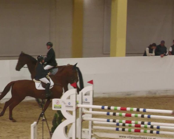 Springturnier Stadl Paura 2023