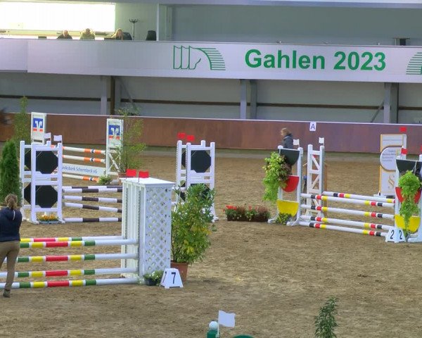 Reitturnier Gahlen 2023