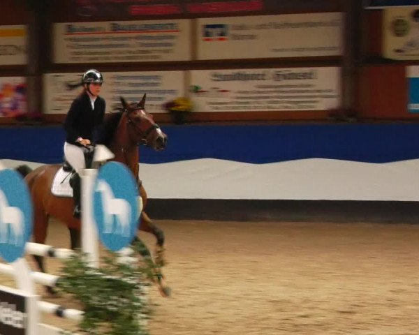 Reitturnier Gadebusch 2023