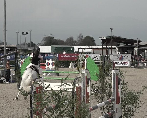 Reitturnier Giubiasco 2023