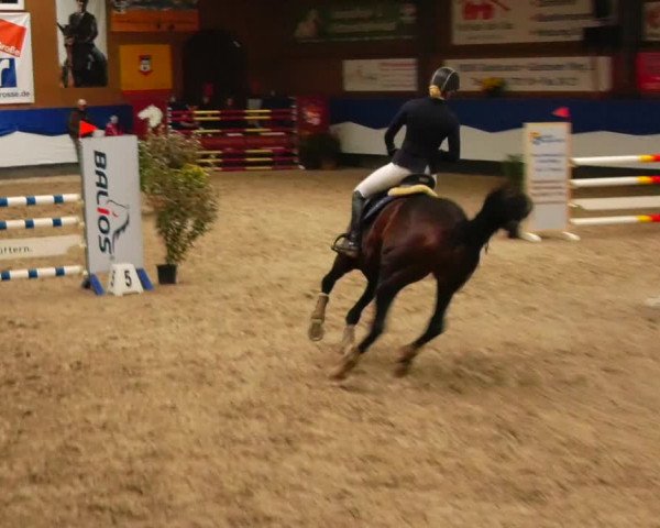 Reitturnier Gadebusch 2023