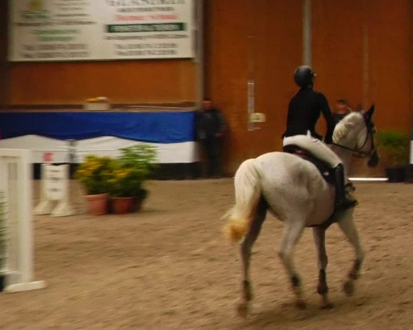 Reitturnier Gadebusch 2023