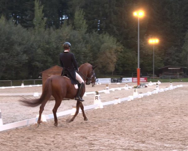 Dressurturnier Igls 2023