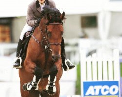 jumper Bocca Al Lupo (Oldenburg show jumper, 2018, from Bentley van de Heffinck)
