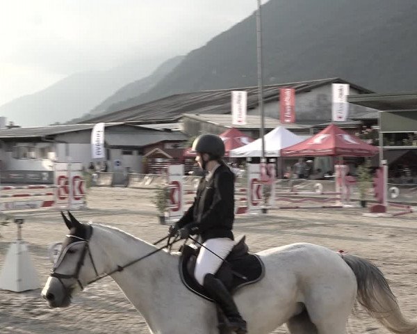 Reitturnier Giubiasco 2023
