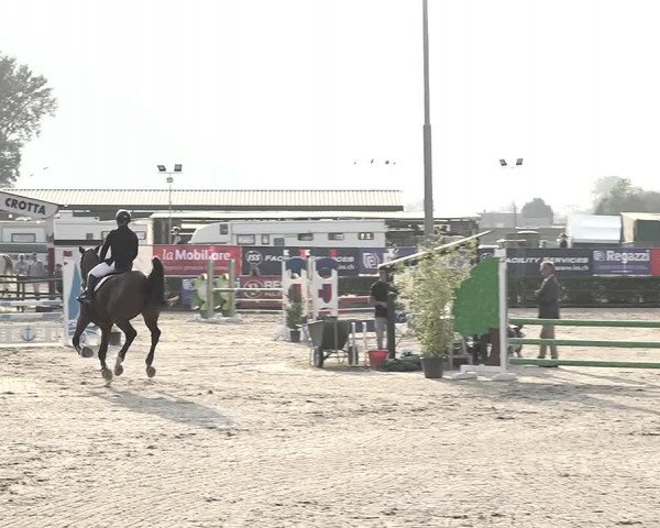 Reitturnier Giubiasco 2023