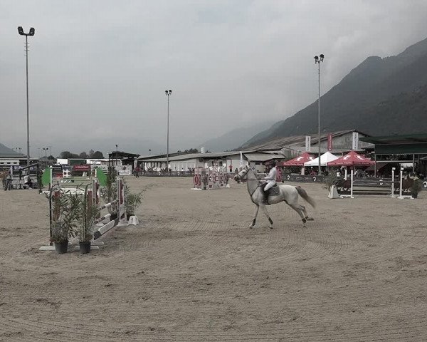 Reitturnier Giubiasco 2023