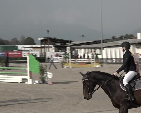 Reitturnier Giubiasco 2023