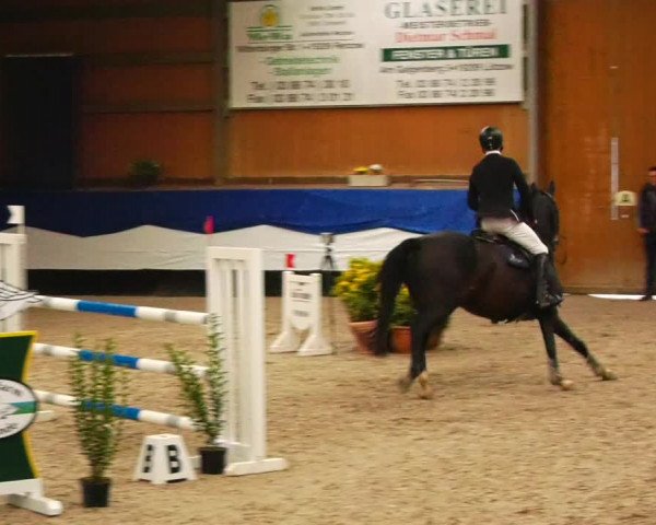 Reitturnier Gadebusch 2023