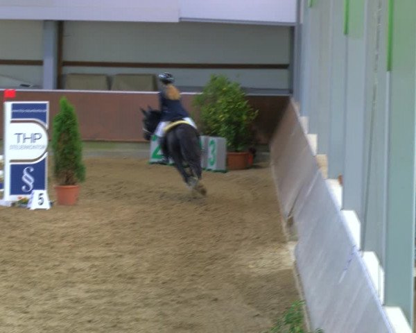 Reitturnier Gahlen 2023