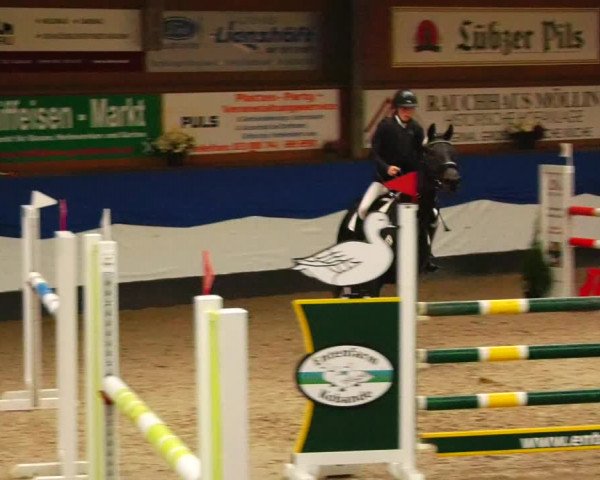 Reitturnier Gadebusch 2023