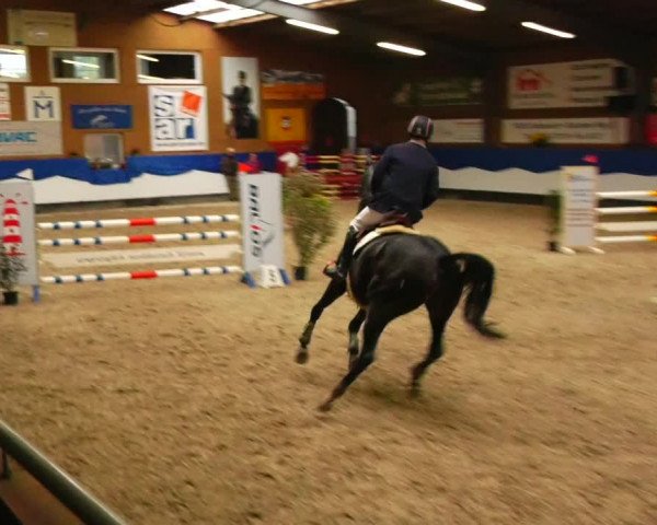 Reitturnier Gadebusch 2023