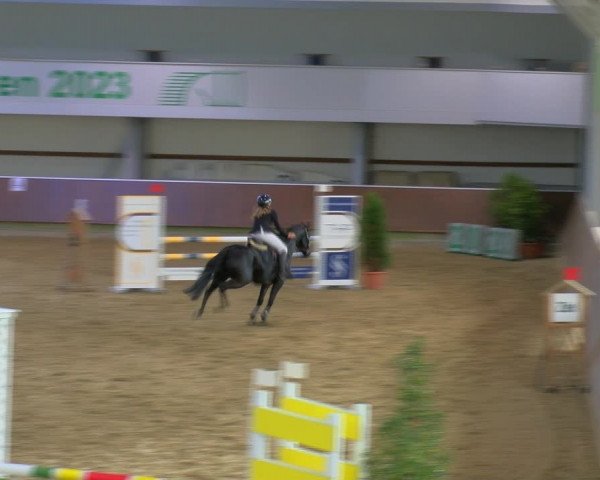 Reitturnier Gahlen 2023