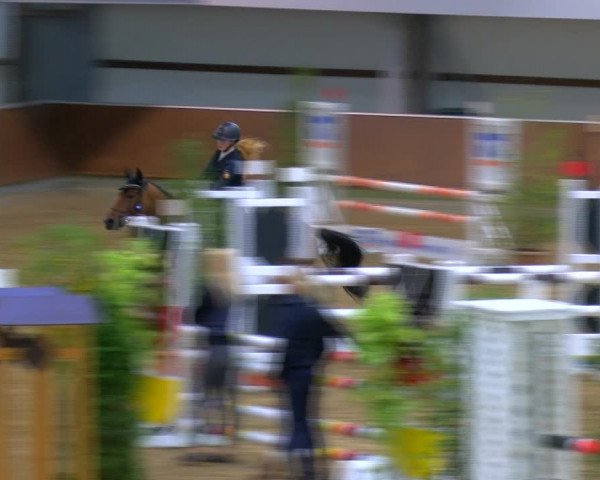 Reitturnier Gahlen 2023