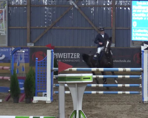 Reitturnier Pausin 2023