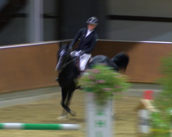 Reitturnier Gahlen 2023