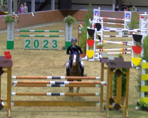 Reitturnier Gahlen 2023