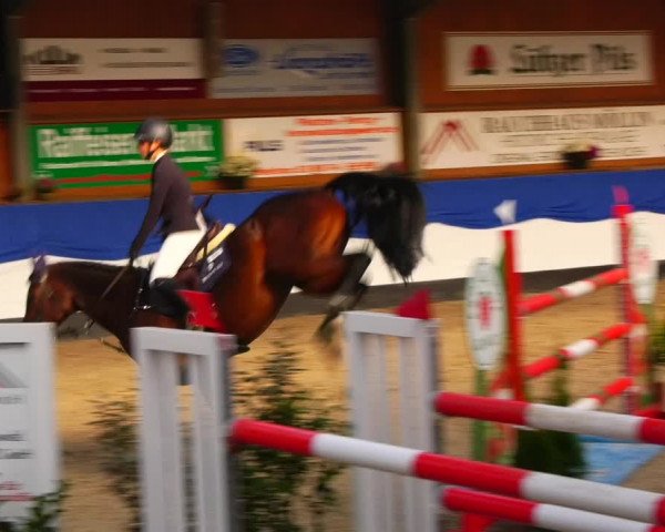 Reitturnier Gadebusch 2023