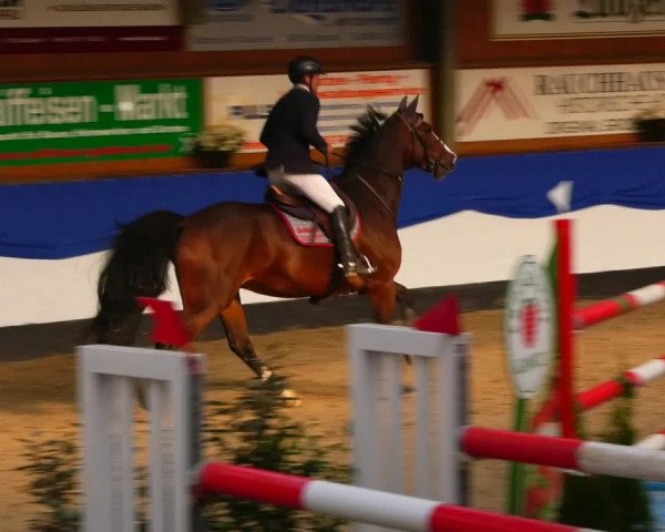 Reitturnier Gadebusch 2023