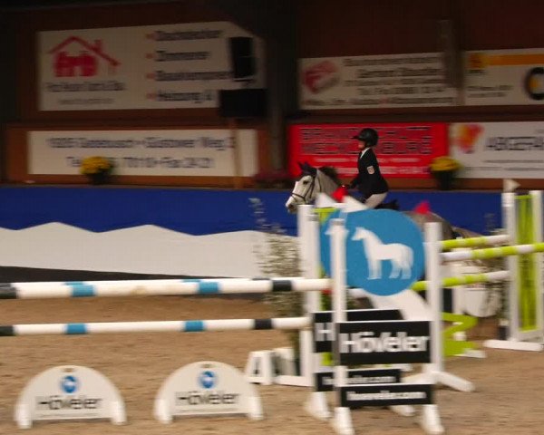 Reitturnier Gadebusch 2023