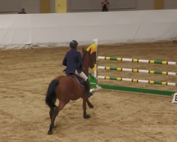Springturnier Stadl Paura 2023