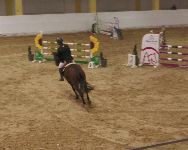 Springturnier Stadl Paura 2023