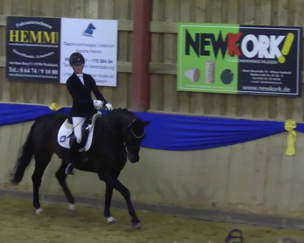 Reitturnier Villmar 2023