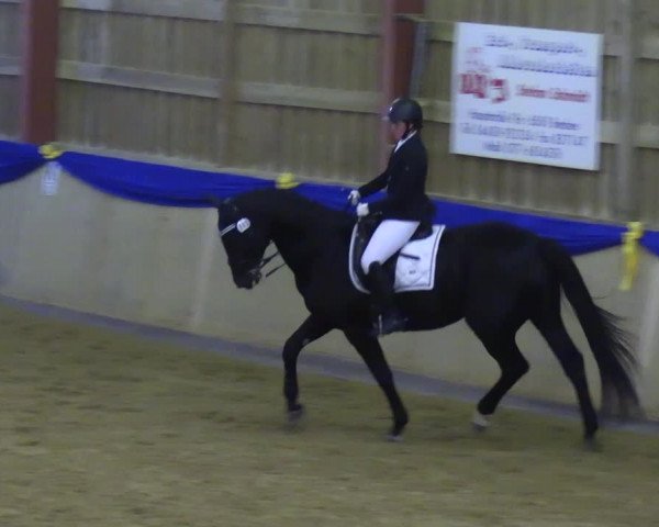 Reitturnier Villmar 2023