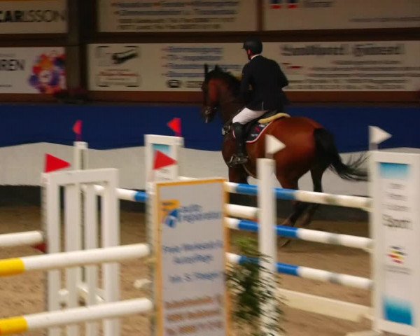 Reitturnier Gadebusch 2023
