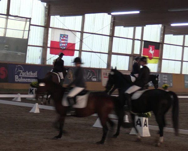 Reitturnier Pausin 2023