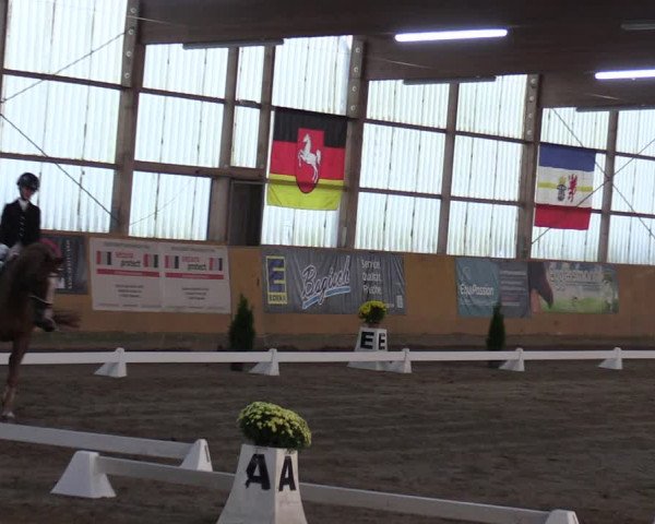 Reitturnier Pausin 2023