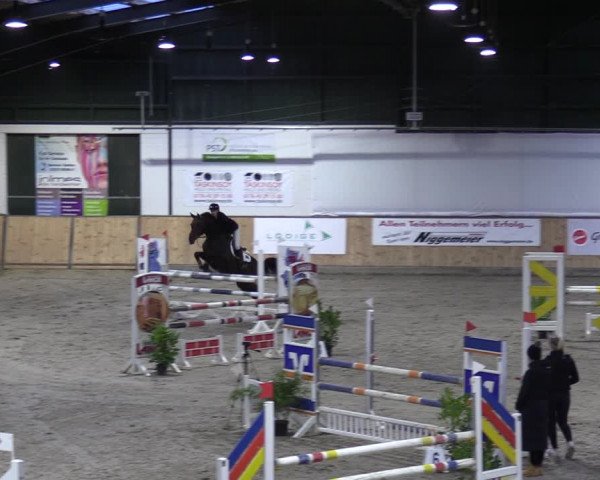 Reitturnier Salzkotten 2023