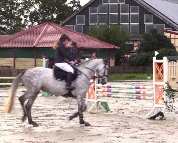 Reitturnier Schülp / Rendsburg 2023
