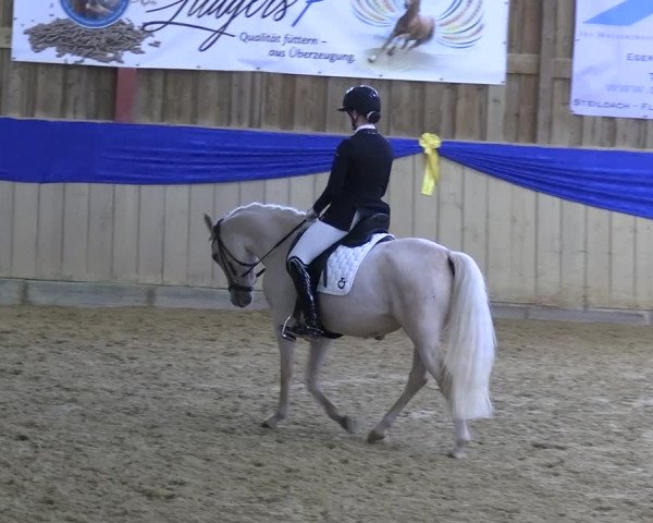 Reitturnier Villmar 2023
