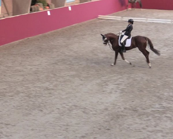 Reitturnier Krumke 2023