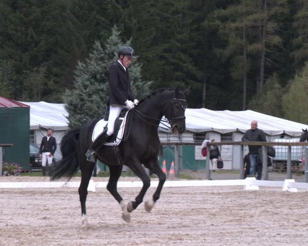 Dressurturnier Igls 2023